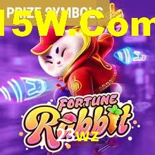 23wz